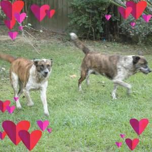 Meet your Posher, Catherine